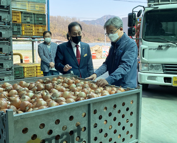 장철훈 농업경제대표가 공판장 온라인농산물거래소 우수사무소(양파부문)로 선정된 경북 구성농협을 찾아 양파를 살펴보고 있다.