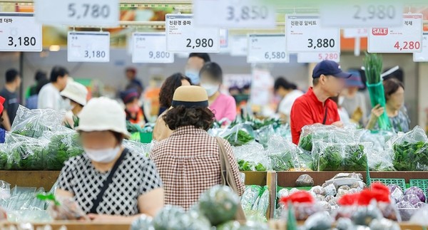 최근 풍수해·고온 등 여파로 채소·과일 가격이 오른 가운데 서울 시내의 한 대형 마트에서 시민들이 진열된 물품들을 살피고 있다. 사진/연합뉴스