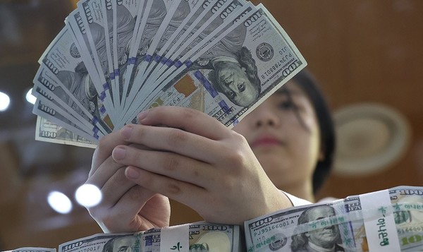 하나은행 위변조대응센터에서 한 직원이 달러를 정리하고 있다. 사진/연합뉴스
