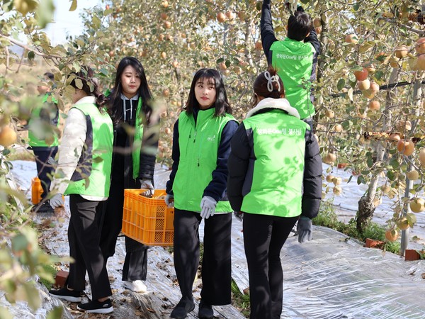 LX인터내셔널과 LX판토스가 광화문One팀 봉사단과 함께 수확기를 맞은 농촌의 일손 부족을 돕는 봉사 활동에 나섰다. 사진/LX인터내셔널