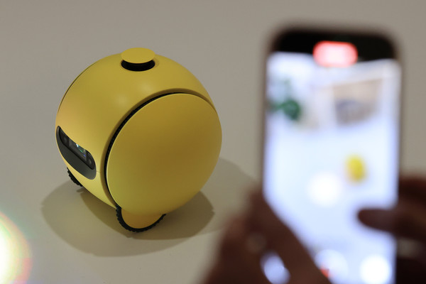 삼성 볼리. 사진/연합뉴스