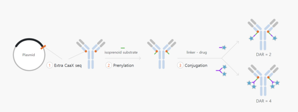 ADC 제조 과정. 사진/리가켐바이오사이언스 홈페이지