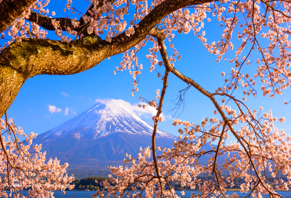 일본 후지산. 사진/노랑풍선