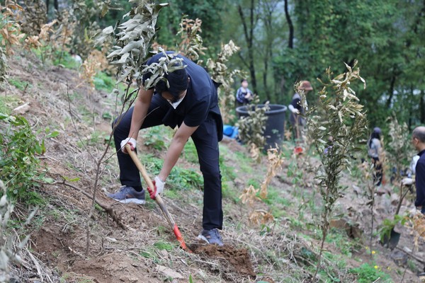 DL이앤씨는 임직원이 직접 묘목을 길러 숲 만들기에 동참하는 ‘집씨통(집에서 씨앗 키우는 통나무)’ 캠페인을 진행 중이다.
