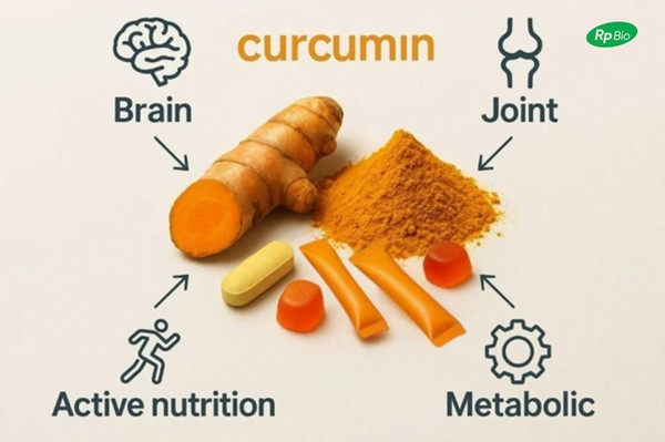 사진/알피바이오