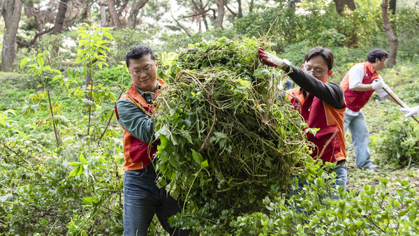 1일 남산공원 소래풀군락지에서 유해식물 제거 활동을 펼치고 있는 이호정 SK네트웍스 대표이사(왼쪽)