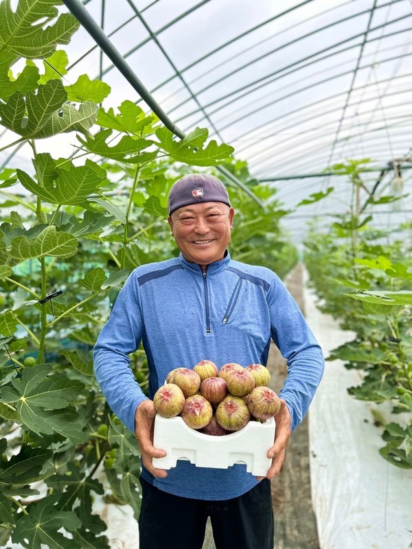 전남 함평에 위치한 '함평농부' 채상희 대표가 무화과 상자를 들고 있다. 사진/쿠팡