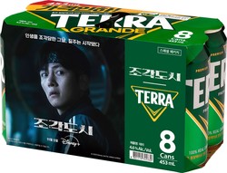 테라, 조각도시 협업 가정용 패키지. 사진/하이트진로