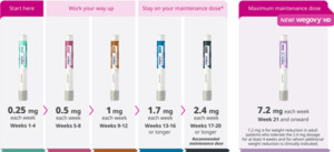 '근육손실 부작용 없앤 비만치료제' K바이오 차기 '위고비'에 관심 집중 - 뉴스 썸네일 이미지